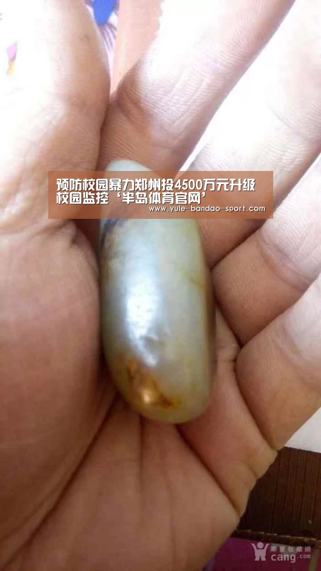 半岛体育