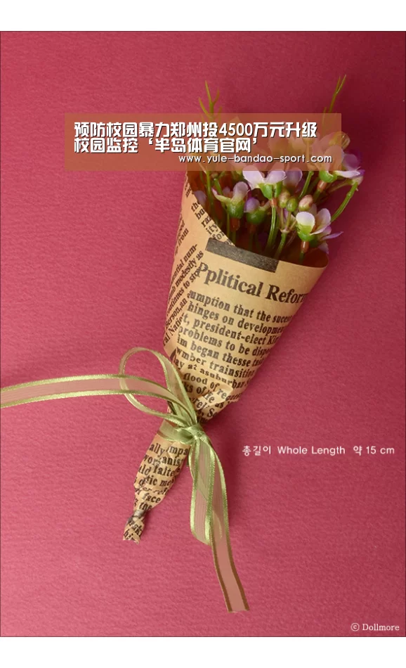 半岛体育平台